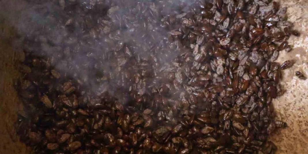 Geleneksel iki lezzet buluştu yenilik çok sevildi! Kahveyle badem şekerinin buluşması yoğun ilgi gördü 5